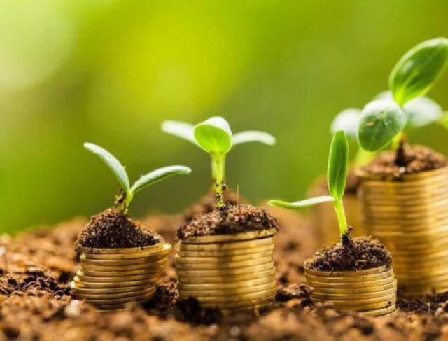 Histórias de Sucesso: Como o Crédito Rural Transformou o Agronegócio Brasileiro