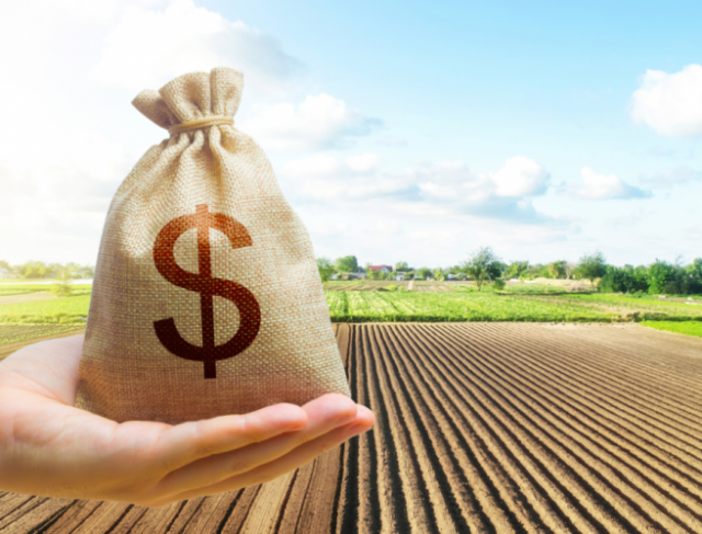 O Guia Completo para Entender e Aproveitar o Crédito Rural no Brasil